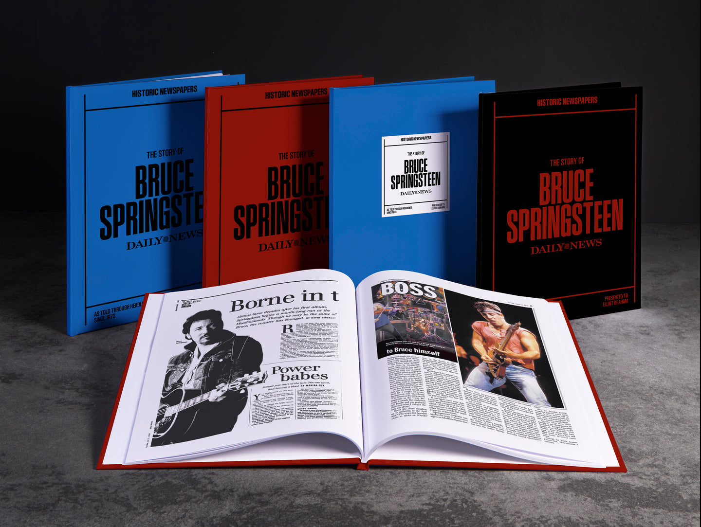 The Story of Bruce Springsteen New York Daily News Edition